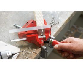 Bessey Mordaza para ángulos Serie WS 2 x 100 mm