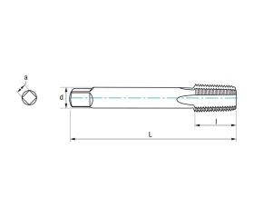 REF. 3107 MACHO MAQUINA RECTO HSS Co DIN374 (NPT)