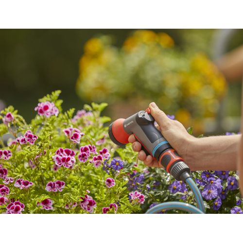 Pistola para balcones city gardening