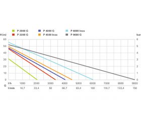 P 2000 G Bomba de jardín