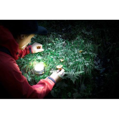 Foco LED multifunción outdoor con batería recargable OLI 0300 A (350 lm)